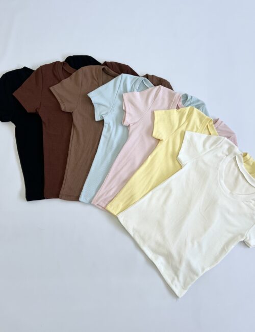 2121-REMERA MORLEY FINO BASICO MANGA CORTA
