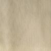2473-SOLERO MORLEY TAO BRETEL ANCHO LISO - champagne