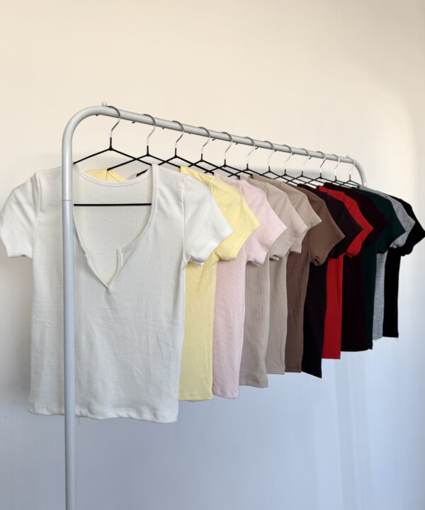 4599-REMERA MORLEY FINO CON CUELLO V MANGA CORTA